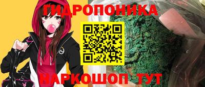 ешки Анапа