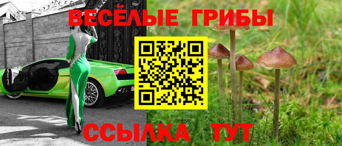 Псилоцибиновые грибы Magic Shrooms  Вход с VPN  Карталы 